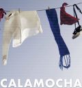 El Ayuntamiento de Calamocha ya cuenta con cartel anunciador de sus fiestas