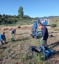 El taller de empleo forestal acondiciona dos montes de utilidad pública en Orihuela del Tremedal