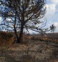 Recibe el alta el APN turolense de la cuadrilla Javalambre Sur herido en las labores de extinción del incendio de Bejís