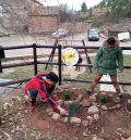 Plantación de árboles y talleres sobre ODS en la Semana Contra el Cambio Climático de Gúdar-Javalambre