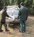 Sorprendidas cinco personas en la Fuente Cerrada de Teruel con 500 kilos de piñas recolectadas sin permiso