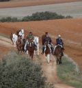 Cien caballos de Villarquemado pasan el invierno en Domeño para controlar el carrizo