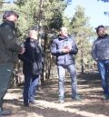 Bayona reivindica la gestión de las masas forestales como garantía para el ecosistema del monte