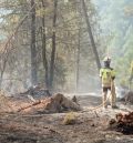 Los bomberos de la Diputación de Teruel trabajan este martes  en la zona de Fuente de la Reina de Castellón