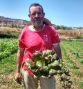 Teruel ha cultivado en la última década más de un centenar de legumbres y hortalizas autóctonas