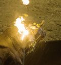 El Partido Animalista (PACMA) denuncia que un toro se quemó durante más de un minuto en un festejo en Villastar