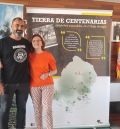 Una exposición itinerante habla de las oliveras más vetustas del Bajo Aragón