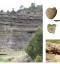 Una investigación confirma que los grandes dinosaurios ornitópodos reinaban en los lagos costeros de hace 130-125 millones de años en la provincia de Teruel