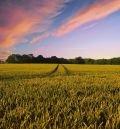 Cuáles son los principales métodos de labranza en la agricultura