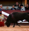 Marco Pérez, el  ‘niño prodigio’ de la tauromaquia, estará en Cella en agosto