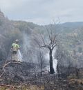 Bomberos del Parque de Alcañiz de la DPT extinguen un incendio entre Alcorisa y Mas de las Matas