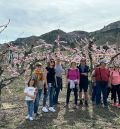 La floración del melocotonero se erige en reclamo turístico en Calanda