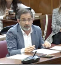 Carlos Boné defiende en el Senado una campaña para el acogimiento familiar