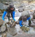 200 truchas de Albarracín repoblarán  la piscifactoría del Monasterio de Piedra