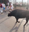 El rápido traslado a la Nevera de tres toros hace ‘soñar’ a los vaquilleros con los ensogados de la tarde