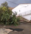 Las últimas tormentas causan inundaciones y desprendimientos  en el término de Ariño