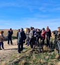 La laguna de Gallocanta se prepara para la llegada de las grullas