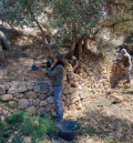 Biela y Tierra da visibilidad al Proyecto Piedra Seca del Senia