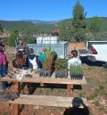 Los niños de San Agustín conocen mejor su entorno a través de talleres medioambientales