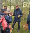 Las setas de otoño, protagonistas de las jornadas gastronómicas de la Sierra de Albarracín