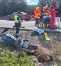 Un motociclista, herido grave, tras atropellar a un ciervo en el término municipal de Albarracín