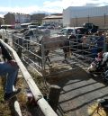 Unos 50 expositores participarán en  la Feria Ganadera y Artesanal de Mora