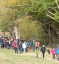 La Fiesta del Chopo Cabecero engrandecerá la figura de los árboles centenarios en Pancrudo