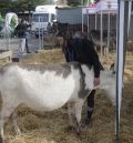 La XLI edición de ExpoCalamocha arranca con un minuto de silencio y un marcado carácter local