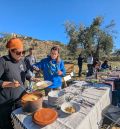 Alloza quiere poner en valor su singular oliva royal con una experiencia oleoturística en el campo