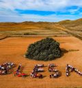 Tres carrascas de Teruel optan a ser el Mejor Árbol de España del año 2025