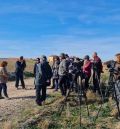 Regresan las rutas con las grullas a la Reserva Natural Dirigida de la laguna de Gallocanta