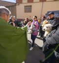 Tortugas, gatos, caballos, canarios y muchos perros son bendecidos en la ermita de San Julián