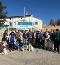 La Diputación de Teruel entrega nuevas crías de mastín del Pirineo de su programa de reproducción a ganaderos turolenses