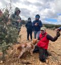 Unas jornadas de trufiturismo en la Sierra de Albarracín invitan al visitante a buscar, catar y cocinar la trufa