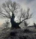 El Parque Cultural del Chopo Cabecero lanza la cuarta edición de su premio fotográfico