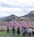 Regresa la floración de los melocotoneros en Calanda con una ruta el 15 de marzo