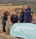 La reforestación en Teruel capital se amplía a 70 hectáreas y la plantación se completará esta primavera