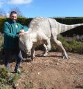 ‘Oblitosaurus bunnueli’,  un dinosaurio de muy buen ver  cuyo hiperrealismo impresiona