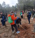 El Plan de Reforestación ha llegado a más  de la mitad de las hectáreas programadas