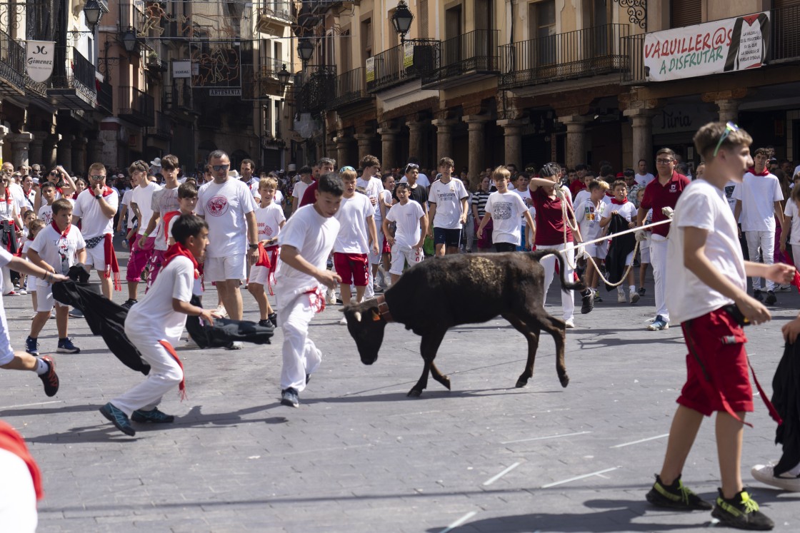 661_vaquilla-infantil-41.jpg