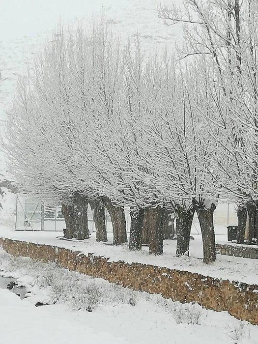 Villarroya de los Pinares tiene hoy un paisaje de postal. Manolo Navarro