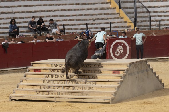 503_toros25.jpg