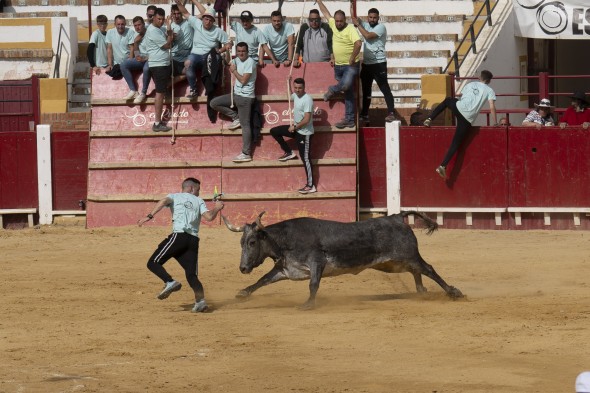 503_toros26.jpg