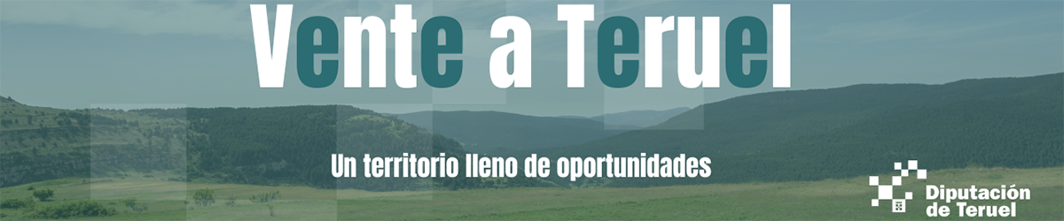 850_1200x250-dpt-vente-a-teruel.png